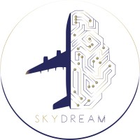 SKYDREAM - Consulting Company logo, SKYDREAM - Consulting Company contact details