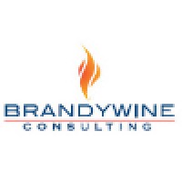 Brandywine Consulting Group logo, Brandywine Consulting Group contact details