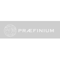 PRAEFINIUM PARTNERS LTD logo, PRAEFINIUM PARTNERS LTD contact details