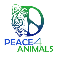 Peace 4 Animals logo, Peace 4 Animals contact details