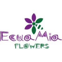 Ecuamia Flowers Corp logo, Ecuamia Flowers Corp contact details