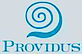 Providus Group, LLC logo, Providus Group, LLC contact details