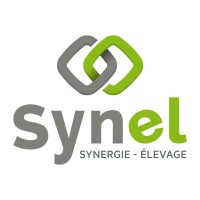 Synel logo, Synel contact details