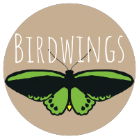 Birdwings Forest School logo, Birdwings Forest School contact details