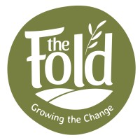 The Fold logo, The Fold contact details