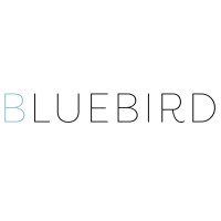 The Bluebird Group logo, The Bluebird Group contact details