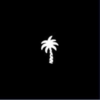 Palm Tree Crew Holdings logo, Palm Tree Crew Holdings contact details