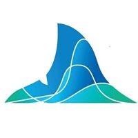 StatShark logo, StatShark contact details