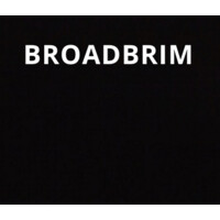 Broadbrim Hotel & Airline Systems logo, Broadbrim Hotel & Airline Systems contact details