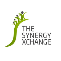 The Synergy XChange Ltd. logo, The Synergy XChange Ltd. contact details