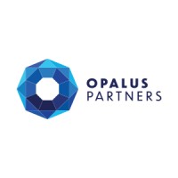 Opalus Partners Group logo, Opalus Partners Group contact details