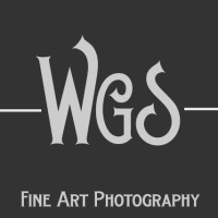 Wildgrass Studio logo, Wildgrass Studio contact details