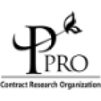 P-pro Korea logo, P-pro Korea contact details