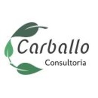 Carballo Consultoria logo, Carballo Consultoria contact details