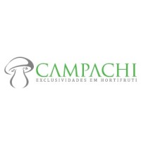 Campachi Distribuidora logo, Campachi Distribuidora contact details