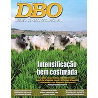 REVISTA DBO logo, REVISTA DBO contact details