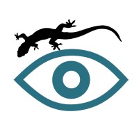 Gecko Optica Boutique logo, Gecko Optica Boutique contact details