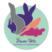 Fauna Vets logo, Fauna Vets contact details