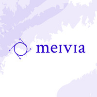 Meivia Global Services LLP logo, Meivia Global Services LLP contact details