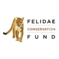 Felidae Conservation Fund logo, Felidae Conservation Fund contact details