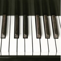 DW Piano Tuning logo, DW Piano Tuning contact details