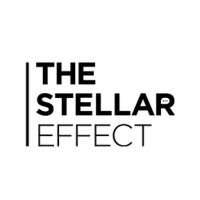 THE STELLAR EFFECT logo, THE STELLAR EFFECT contact details