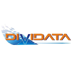 DIVIDATA Processamento de Dados Ltda logo, DIVIDATA Processamento de Dados Ltda contact details