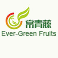 Luo Chuan Ever-Green Fruits Co., Ltd. logo, Luo Chuan Ever-Green Fruits Co., Ltd. contact details