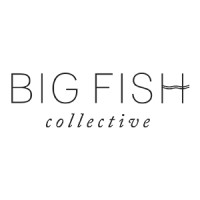 Big Fish Collective logo, Big Fish Collective contact details