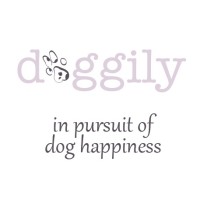 Doggily logo, Doggily contact details