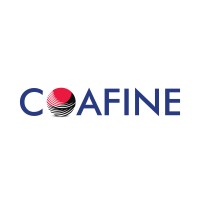 COAFINE, Corporativo de Asesorías Fiscales y de Negocios SC. logo, COAFINE, Corporativo de Asesorías Fiscales y de Negocios SC. contact details