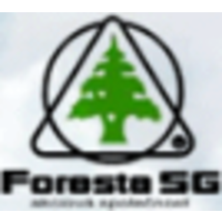 Foresta SG, a.s. Vsetín logo, Foresta SG, a.s. Vsetín contact details