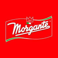 MORGANTE SRL logo, MORGANTE SRL contact details