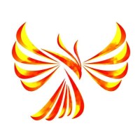 Team Phoenix Robocon IIT Patna logo, Team Phoenix Robocon IIT Patna contact details