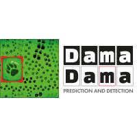 Dama Dama logo, Dama Dama contact details