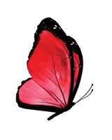 Papillon Rouge logo, Papillon Rouge contact details