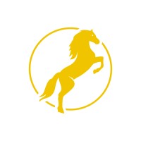 Stallion Fitness LLC logo, Stallion Fitness LLC contact details