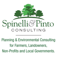 Spinelli and Pinto Consulting, LLC logo, Spinelli and Pinto Consulting, LLC contact details