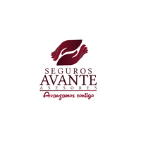 Avante Asesores logo, Avante Asesores contact details