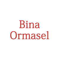 Bina Ormasel logo, Bina Ormasel contact details