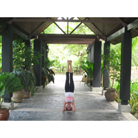 Carolina Carvalho Yoga logo, Carolina Carvalho Yoga contact details