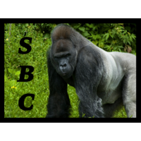 Silverback Consulting, Inc. logo, Silverback Consulting, Inc. contact details