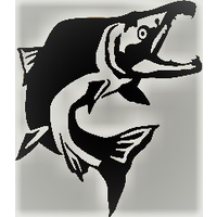 Black Salmon Partners, LLC logo, Black Salmon Partners, LLC contact details