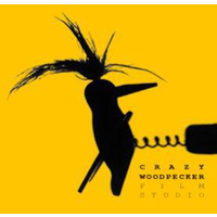 Crazy Woodpecker Film Studio logo, Crazy Woodpecker Film Studio contact details