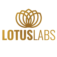 LotusLabs Consultancy logo, LotusLabs Consultancy contact details