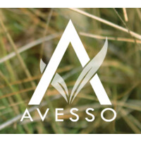 AVESSO logo, AVESSO contact details