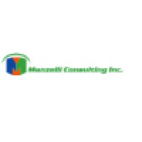 Manzelli Consulting Inc logo, Manzelli Consulting Inc contact details