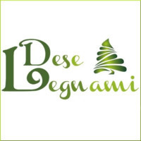 DESE LEGNAMI di Dimatteo Maria logo, DESE LEGNAMI di Dimatteo Maria contact details