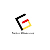 Firgun Consulting logo, Firgun Consulting contact details