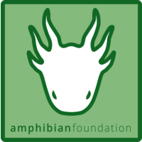 The Amphibian Foundation logo, The Amphibian Foundation contact details